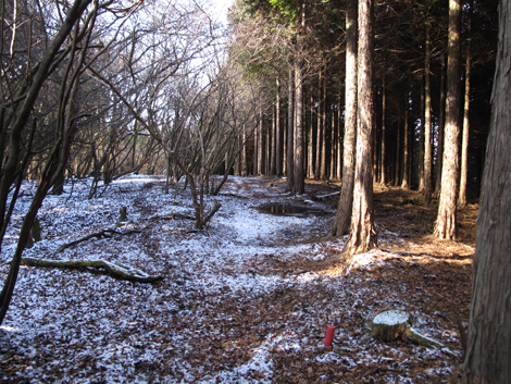 20161216hike (185)